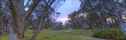 Wallace Hut - VIC (PBH4 00 13117)